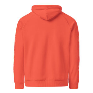 Hells Mouth eco raglan hoodie - Image 3